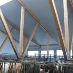 Neubau Stallung
